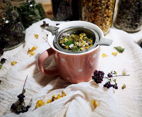 What are infusions, decoction, and macerate?