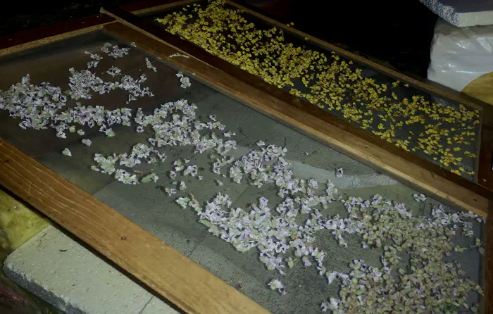 Drying on netted frames in the attic in summer is a very effective method.