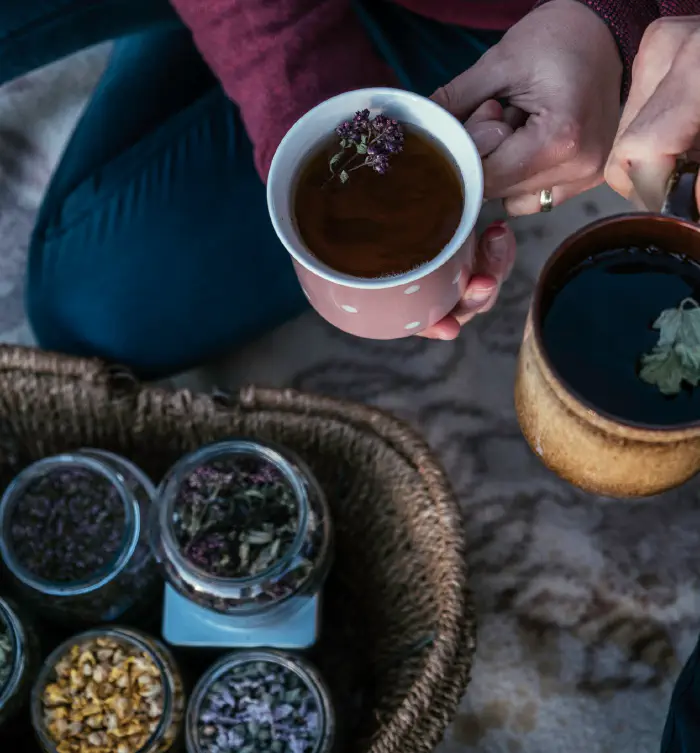 Making a herbal tea infusion in a cup (photo: Zala Hrastar).