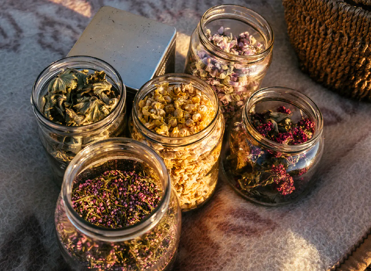 We are storing herbs in glass jars. Since they are not dark, we store them in a dark cupboard (Photo: Zala Hrastar)